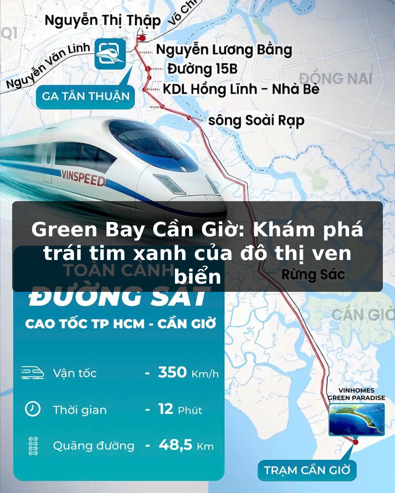 Green Bay Cần Giờ: Khám phá trái tim xanh của đô thị ven biển