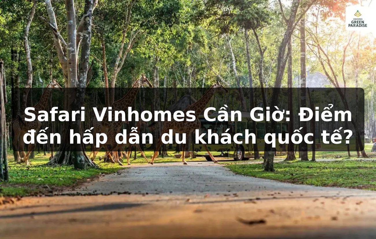 Safari Vinhomes Cần Giờ: Điểm đến hấp dẫn du khách quốc tế?