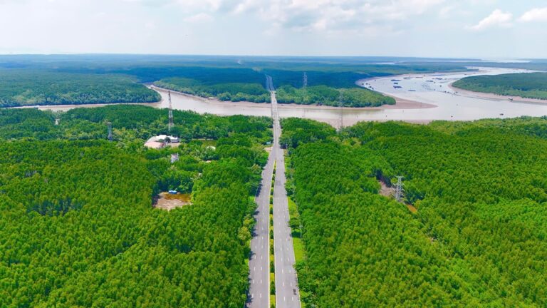 Vinhomes Green Paradise Cần Giờ - Khám phá cung đường xanh mát