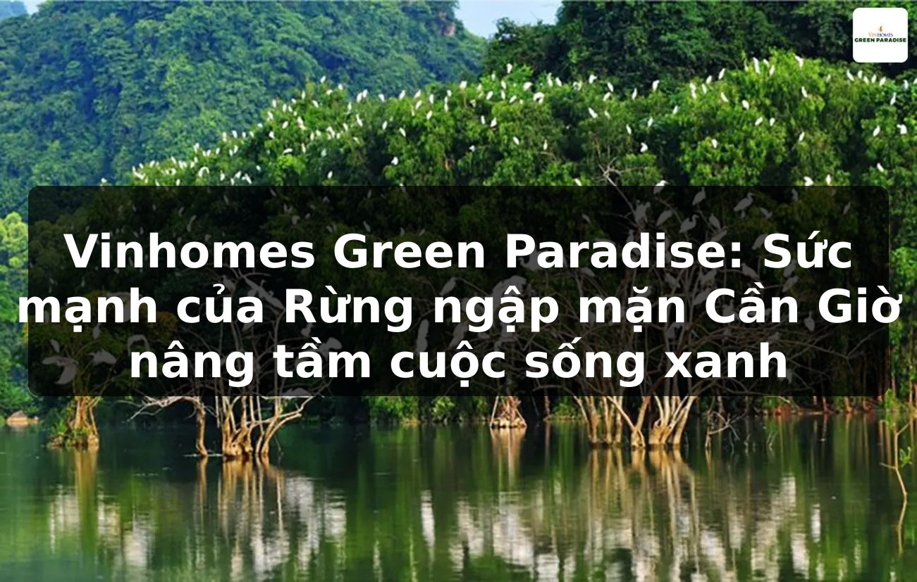 Vinhomes Green Paradise: Sức mạnh của Rừng ngập mặn Cần Giờ nâng tầm cuộc sống xanh