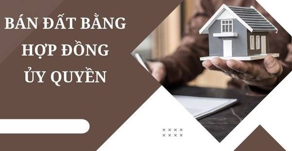 Hợp Đồng Ủy Quyền Bán Đất: Giá Trị Pháp Lý & Lưu Ý Quan Trọng