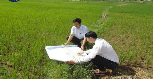 Thống kê, Kiểm kê Đất đai theo Luật Đất đai mới: Nguyên tắc & Thời điểm
