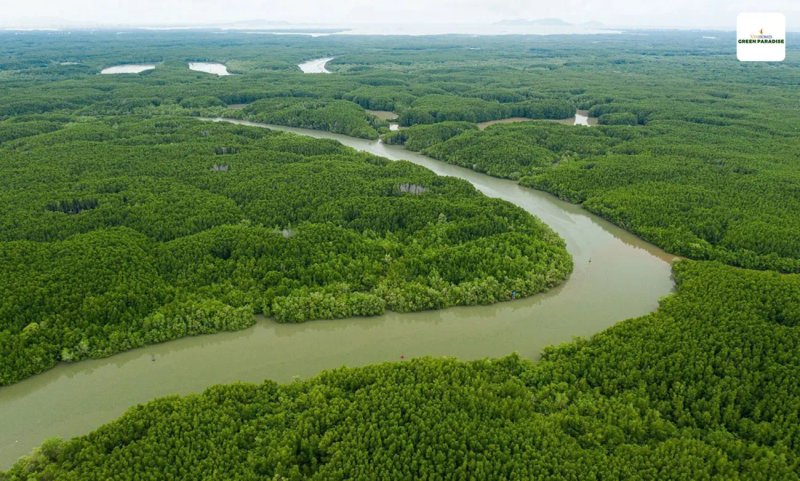 image-5-don-bay-vang-nang-tam-gia-tri-vuot-troi-cho-vinhomes-can-gio-30