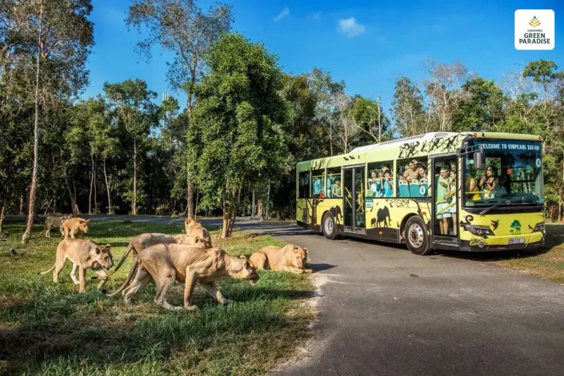 image-safari-vinhomes-can-gio-diem-den-hap-dan-du-khach-quoc-te-20